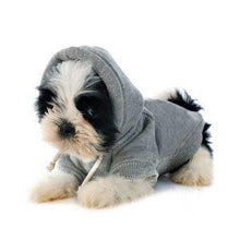 Cargar imagen en el visor de la galería, Ropa de Mascotas | Lavanderia a Domicilio
